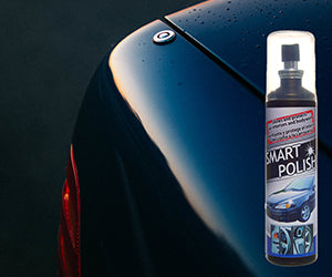 Car Care & Repair Kit a 199 LEU