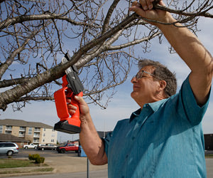 Minichain Saw a 89,99€