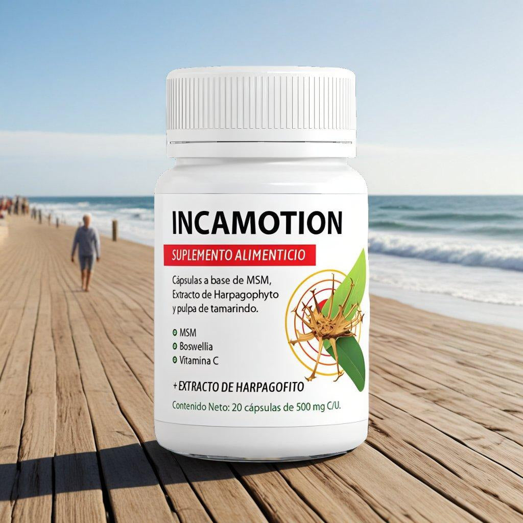 IncaMotion