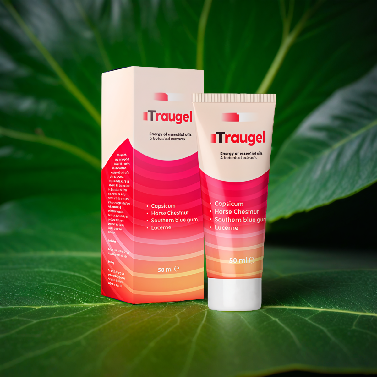 Traugel